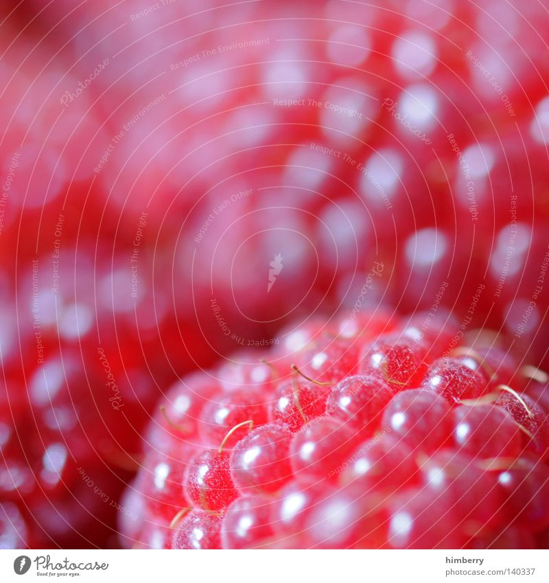 himberry Fruit Healthy Delicious Sweet Raspberry Nutrition Food Dessert Macro (Extreme close-up) Vitamin Fresh Red Pink Sense of taste Harvest Sugar Light Style