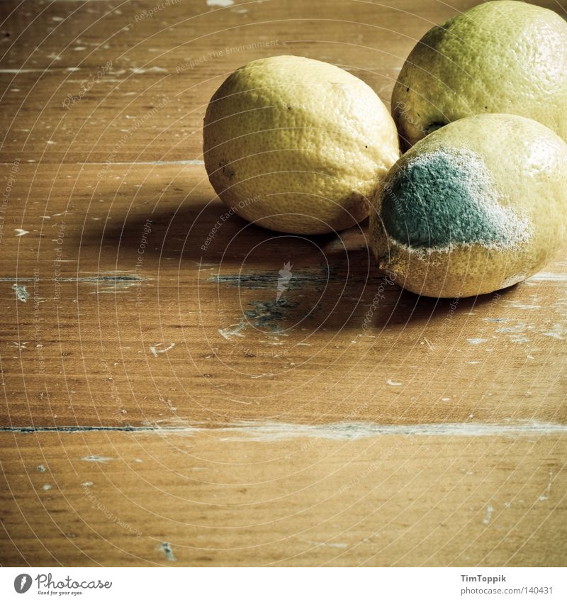 integration group Lemon Spoiled Decompose Putrefy Expired Citrus fruits Integration Social Table Wooden table Transience Kitchen Nutrition Fruit Mold get mouldy