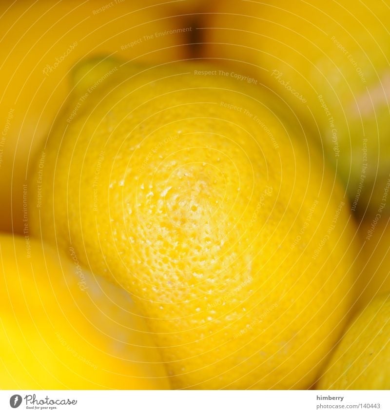 fruity lemons Lemon Sour Fruit Vitamin Vitamin C Healthy Ingredients Yellow Focus on Perspective Harvest Nutrition Food Bowl Macro (Extreme close-up)