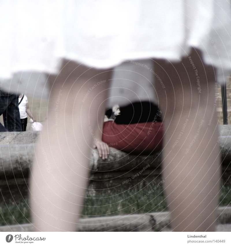 Through the skirt White Legs Red Pants Well Paparazzo Zoom effect Woman through Between hindruch woman sitting Voyeurism