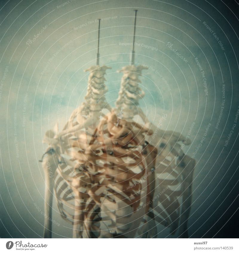 Upper extremity Double exposure Italy Skeleton Ossi Doctor Anatomy Ribs Thorax Spokes Fingers Hand Analog Medium format Science & Research Lomography Ferrania