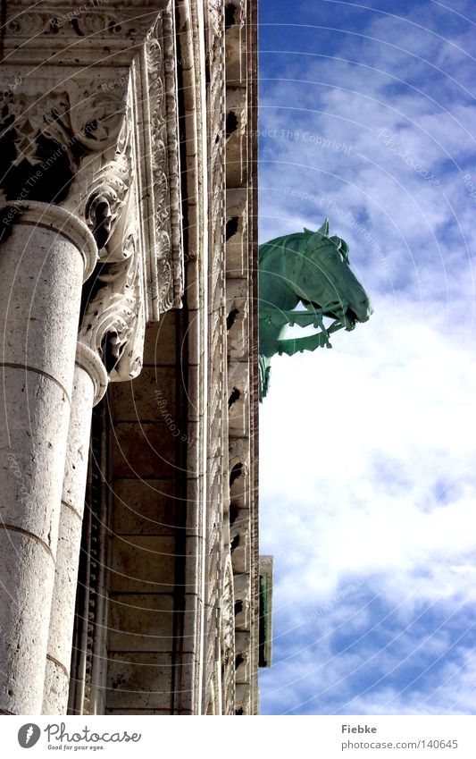Oh Fallada Sacré-Coeur Paris France Culture Detail Basilica Art Horse Statue Europe Animal Stone Religion and faith Church Solidify Fossil Fairy tale Sky Blue
