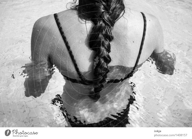 Braided pigtail back view woman in pool Lifestyle Swimming pool Swimming & Bathing Leisure and hobbies Vacation & Travel Summer vacation Young woman