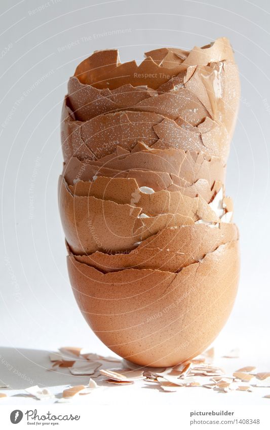 egg shell tower Healthy Eating Gastronomy Broken Brown White Cooking Egg Eggshell Colour photo Interior shot Studio shot Copy Space top Copy Space bottom