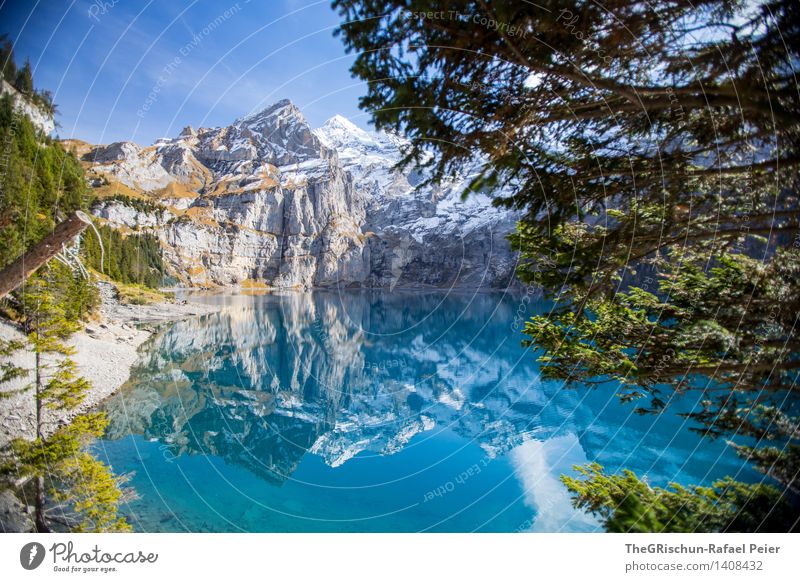 Lake Oeschinesee Nature Landscape Blue Gray Green Black Turquoise White Mountain lake Mirror image Forest Tree Snow Considerable Clean Lake Oeschinen