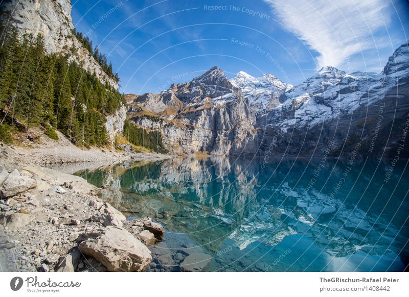 Lake Oeschinesee Environment Nature Landscape Water Blue Gray Green Black Silver Turquoise White Mountain Lakeside Snow Clouds Sky Coniferous forest
