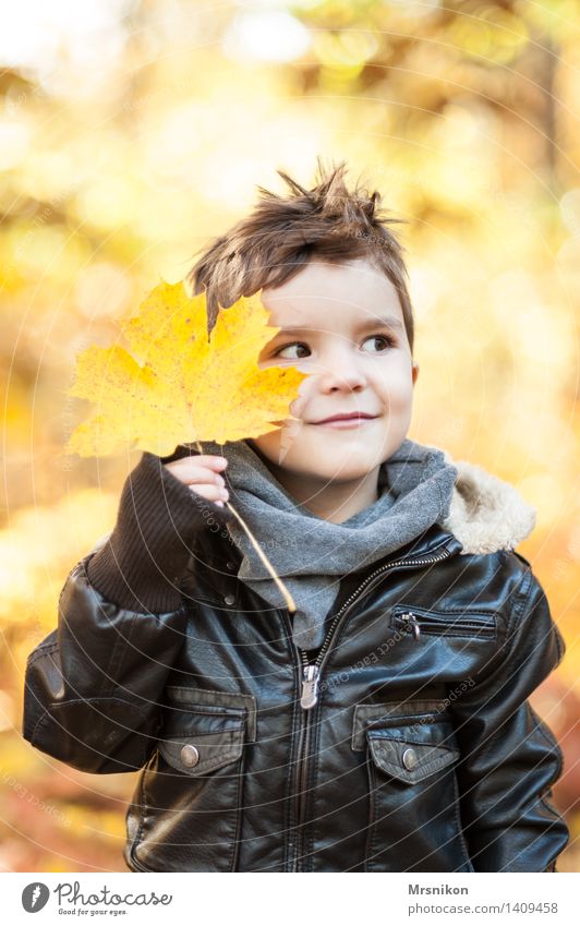Here I am Child Infancy 1 Human being 3 - 8 years Smiling Autumn Autumnal Autumn leaves Automn wood Leather jacket pretty Beautiful Leaf Indicate Impish