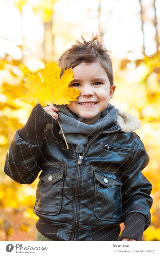 One leaf Toddler Boy (child) Infancy 1 Human being 3 - 8 years Child Beautiful Autumn Autumnal Autumnal colours Autumn leaves Early fall Automn wood Happiness