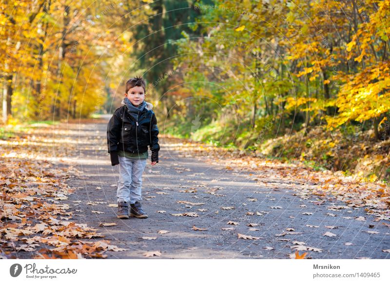 A boy standing in the woods Child Toddler Boy (child) Infancy Life 1 Human being 3 - 8 years Nature Autumn Leaf Forest Stand Footpath Lanes & trails Loneliness