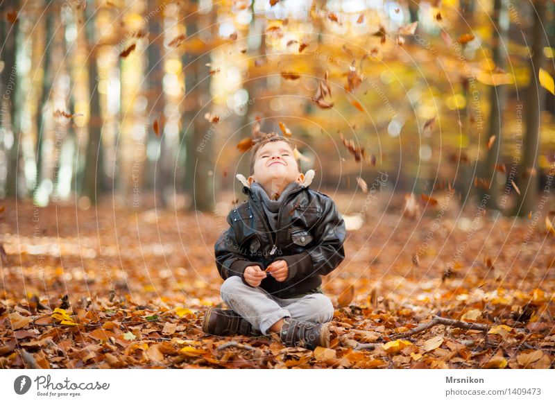 The leaves trickle quietly Masculine Child Boy (child) Infancy Life 1 Human being 3 - 8 years Sit Autumn Autumnal Automn wood Autumn leaves Leaf To fall