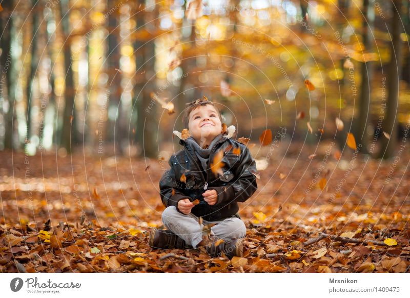 Autumn Human being Masculine Toddler Boy (child) Infancy 1 3 - 8 years Child Crouch Sit Autumnal Autumn leaves Autumnal colours Automn wood Autumnal landscape