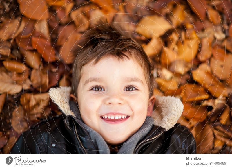 Happy Child Boy (child) Infancy 1 Human being 3 - 8 years Illuminate Autumn Autumnal Autumn leaves Lie Laughter Happiness Looking Comical Funster Colour photo