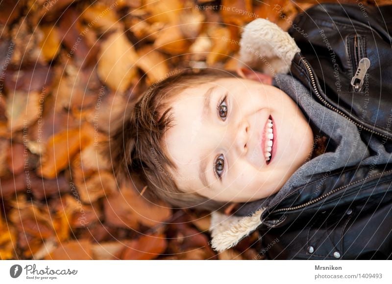 Happy Day Human being Child Toddler Boy (child) Infancy Head 1 3 - 8 years Nature Autumn Weather Beautiful weather Leaf Smiling Laughter Lie Leather jacket