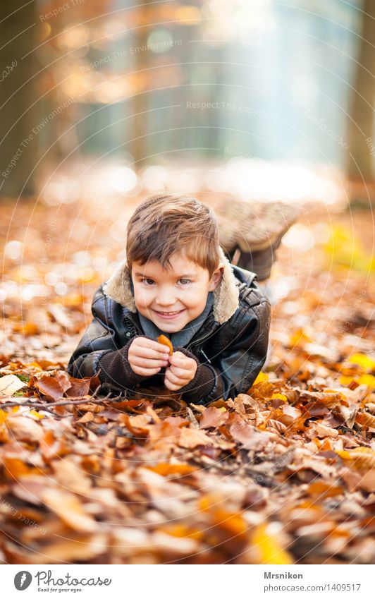cheerful Playing Child Toddler Boy (child) Infancy 1 Human being 3 - 8 years Life Joy Happy Joie de vivre (Vitality) Happiness Autumnal Automn wood