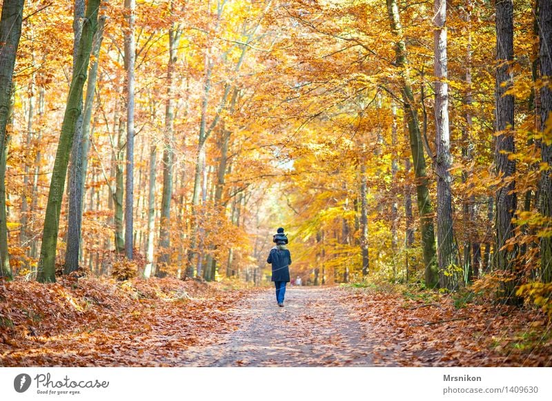 autumn forest Human being Toddler Parents Adults Father Family & Relations Infancy Life 2 1 - 3 years 3 - 8 years Child 30 - 45 years Landscape Autumn Forest