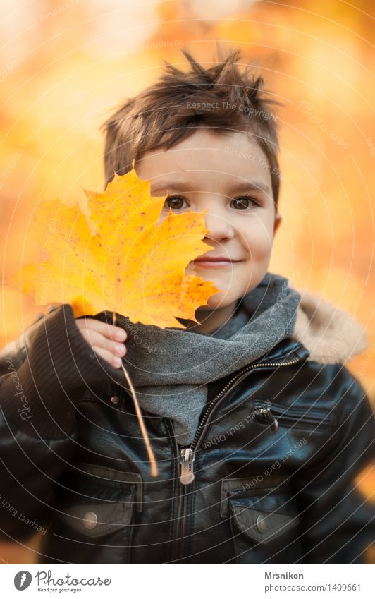 Happy Day Human being Child Toddler Boy (child) Infancy 1 3 - 8 years Nature Autumn Weather Beautiful weather Leaf Garden Park Forest Smiling Autumn leaves
