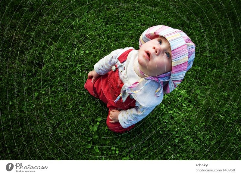 look here Toddler Child Grass Summer Green Longing Looking Marvel Cute Upward Red Girl Meadow Exterior shot Landscape format look out View into the light Style
