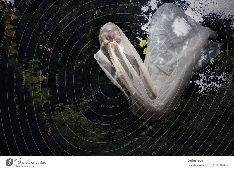 wow Human being Masculine Head Face 1 Environment Nature Garden Park Creepy Ghosts & Spectres  Cloth Hallowe'en Colour photo Exterior shot