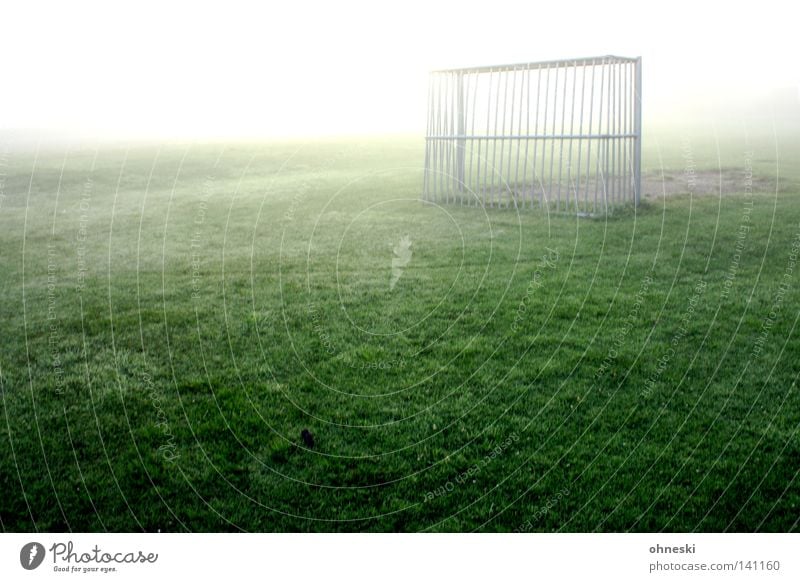 Early equalizing goal Calm Playing Snow Sports Ball sports Soccer Drops of water Fog Bright Hope Loneliness Goal Glistening Dew Awareness Empty World Cup