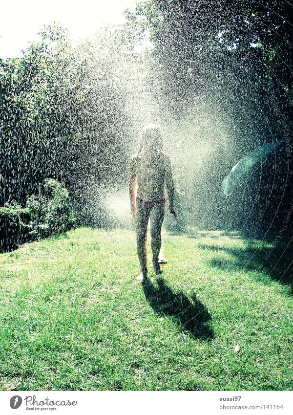 Rain of sparks I Garden hose Lawn sprinkler Child Vacation & Travel Summer vacation Leisure and hobbies Water Holiday at home Sun child amusement holiday fun
