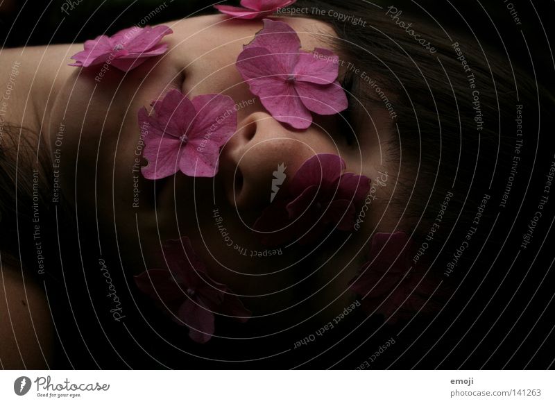 flowergirl Flower Woman Youth (Young adults) Pink Delicate Fine Soft Rose Sleep Dark Black Blossom leave Beautiful Portrait photograph Hydrangea young youth