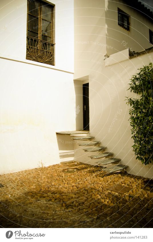 orive Europe Mediterranean mediterraneo Old viejo Loneliness upstair escaleras Andalucia andalusian Cordoba Spain españa