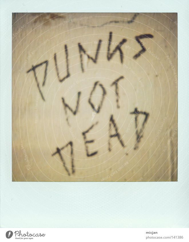 HH08.2 - Dead's not Punk! Punk rock Death Figure of speech Wall (building) Wall (barrier) Polaroid Paper Analog Brown Characters Typography Handwriting Graffiti