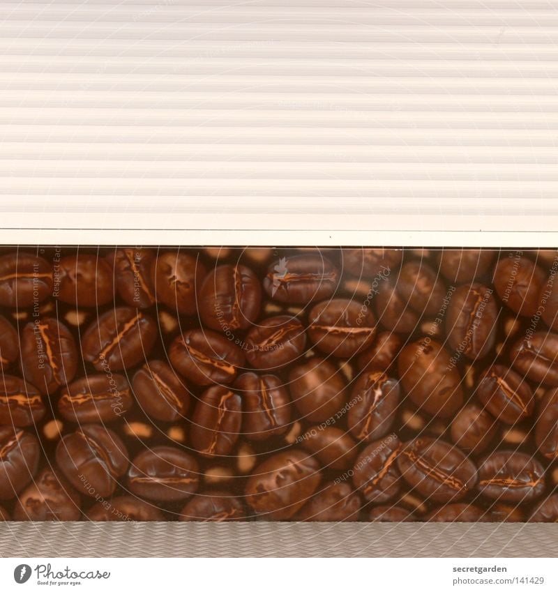 [HH08.2] dead pants with coffee beans Stalls and stands Fairs & Carnivals Goof off Closed Café Beans Coffee bean Pattern Wooden board Roller shutter Serve Sell