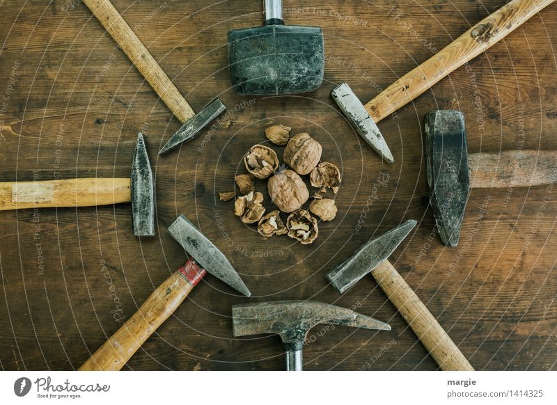 separation of powers: different hammers arranged around walnuts in landscape format Food Fruit Nutrition Organic produce Vegetarian diet Feasts & Celebrations
