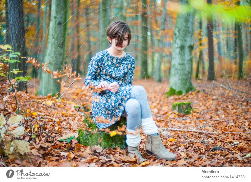 Where's the wolf? Girl Infancy Youth (Young adults) 1 Human being 8 - 13 years Child Think Autumn Autumn leaves Autumnal Automn wood Early fall