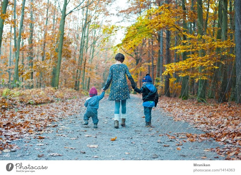 autumn walk Human being Child Toddler girl Boy (child) Brothers and sisters Sister Family & Relations Infancy 3 0 - 12 months Baby 1 - 3 years 3 - 8 years