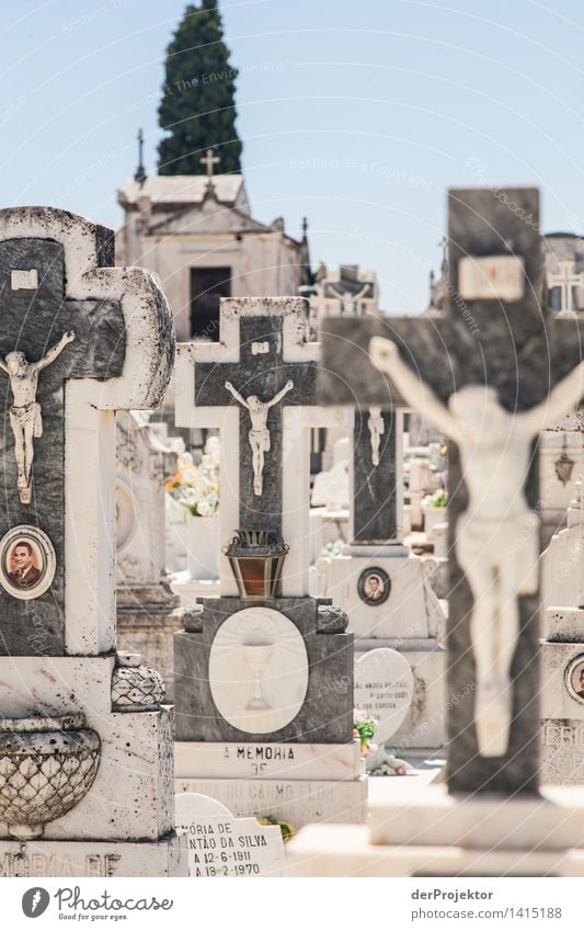 Jesus, exposed to the midday heat Vacation & Travel Tourism Trip Outskirts Tourist Attraction Sadness Concern Grief Death Lovesickness Alentejo Cemetery
