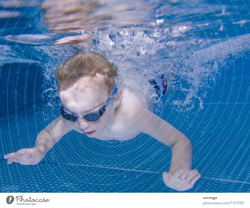 The Diver Eyeglasses Diving goggles Water Wet Summer Swimming pool Bathroom Child Underwater photo Physics Joy Swimming & Bathing Toddler Warmth