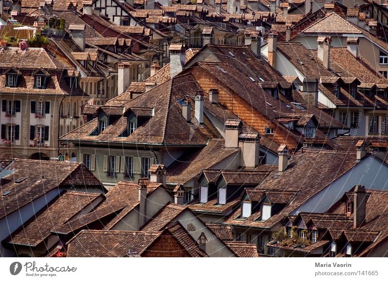 Above the roofs of Bern Switzerland Canton Bern Berne House (Residential Structure) Roof Window Chimney Brick Roofing tile Shingle Building Accommodation Town