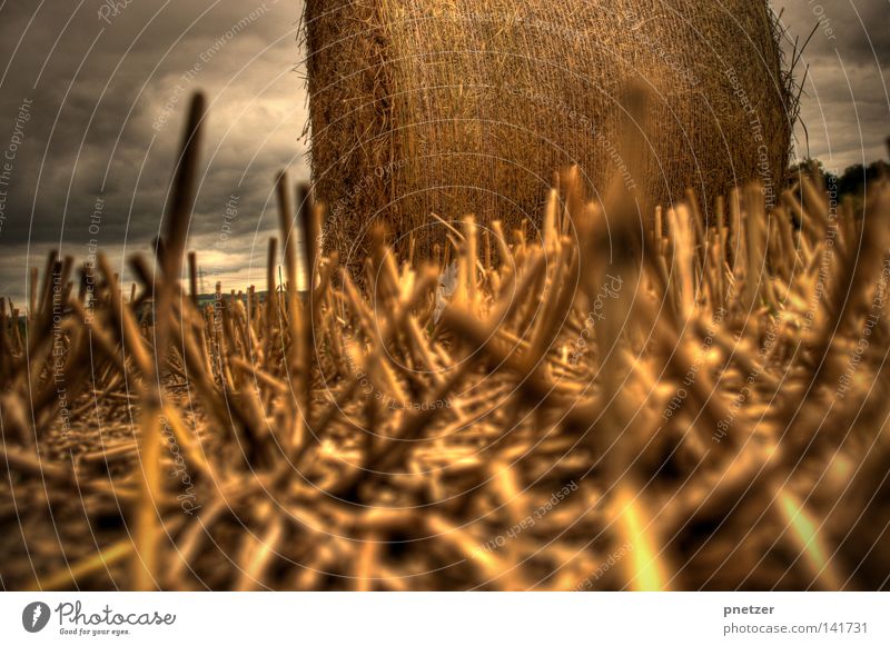 straw bale Straw Yellow HDR Clouds Threat Agriculture Small Sky Summer Bale of straw Gold high dynamic range Perspective Floor covering