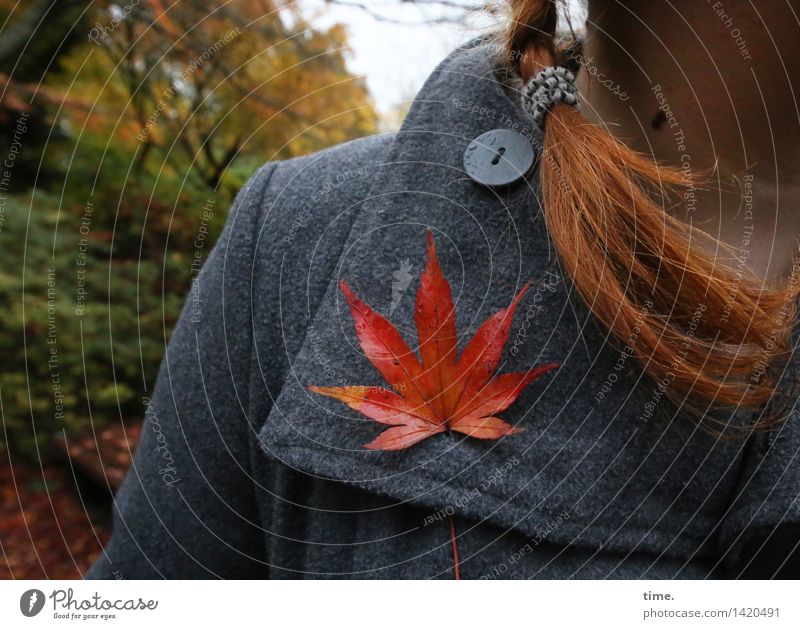 hitchhikers Feminine Body 1 Human being Environment Nature Landscape Autumn Tree Leaf Autumn leaves Maple leaf Coat Red-haired Braids Collector's item Buttons