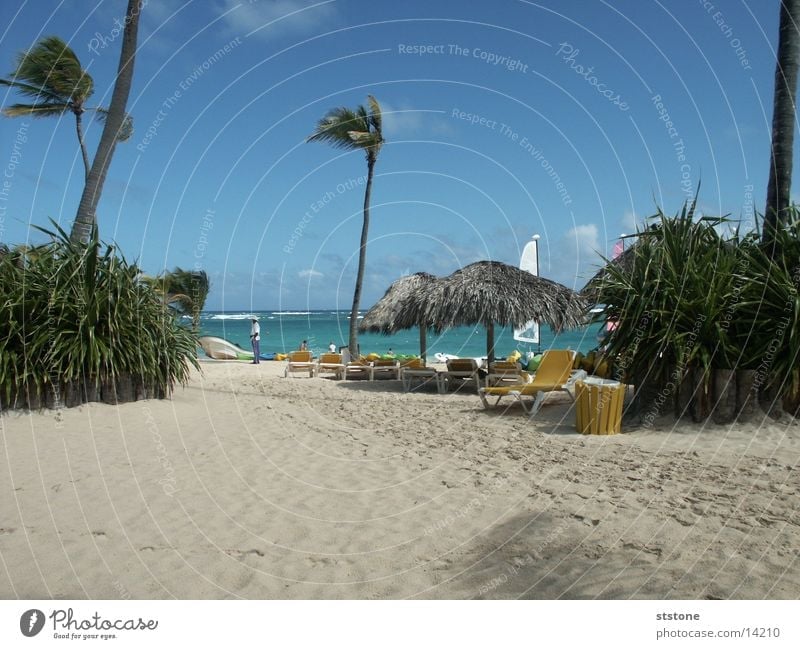 beach Punta Cana Beach Ocean Palm tree Sun roof Water Sand Wind Cuba