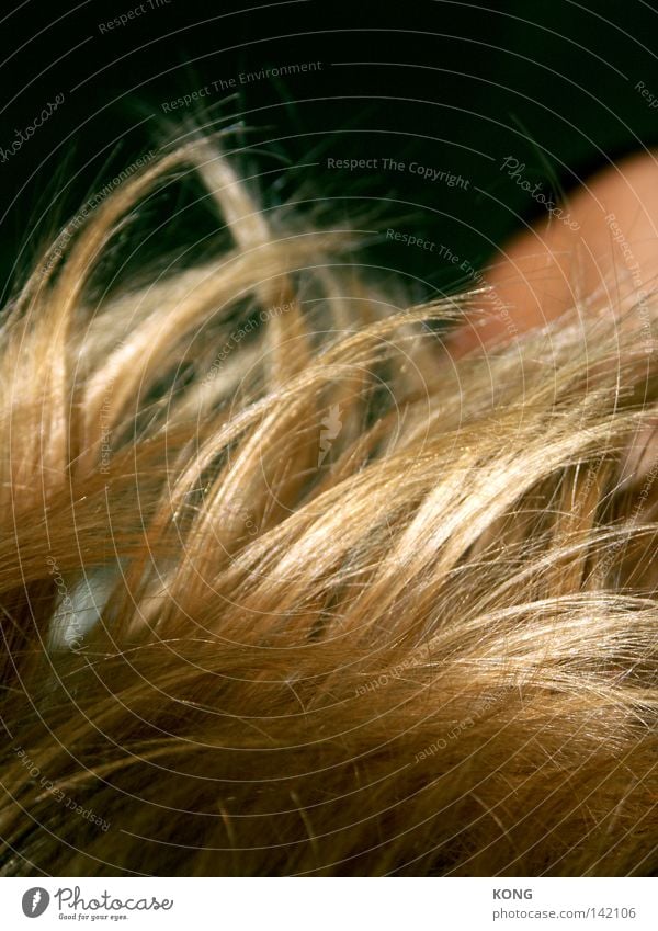 the wind that shakes the barley Hair and hairstyles Glittering Gold Grain Grain alcohol Gale Wind Barley Arrangement Structures and shapes Line Waves Undulating