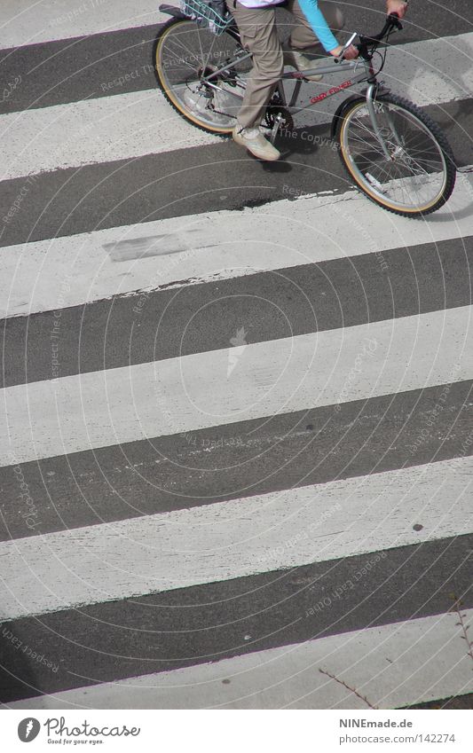 StripeRide Bicycle Zebra crossing Tire Cycling Traverse Gray White Street Speed Bicycle handlebars Human being Town Across Pants Sneakers Pedal Spokes Action