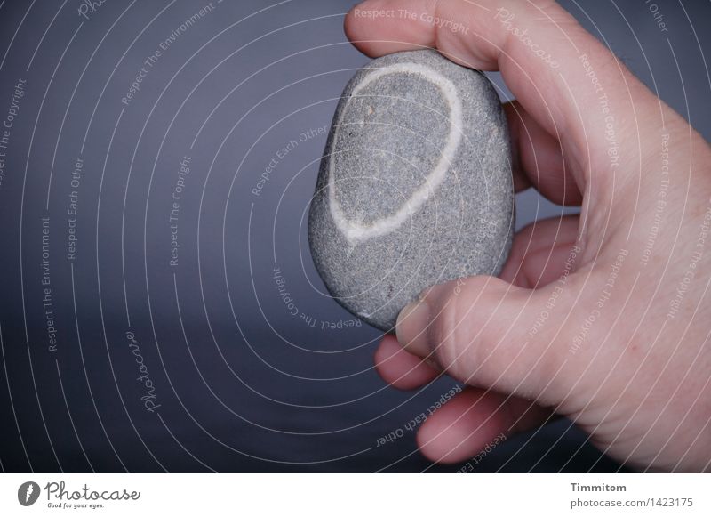 A stone. Hand Fingers Good luck charm Stone Line Simple Gray White To hold on Indicate Pebble Colour photo Interior shot Close-up Copy Space left Day Light