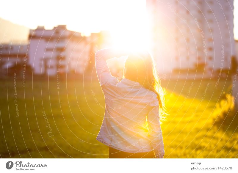 sundown Feminine Young woman Youth (Young adults) 1 Human being 18 - 30 years Adults Environment Nature Bright Warmth Yellow Gold Colour photo Exterior shot