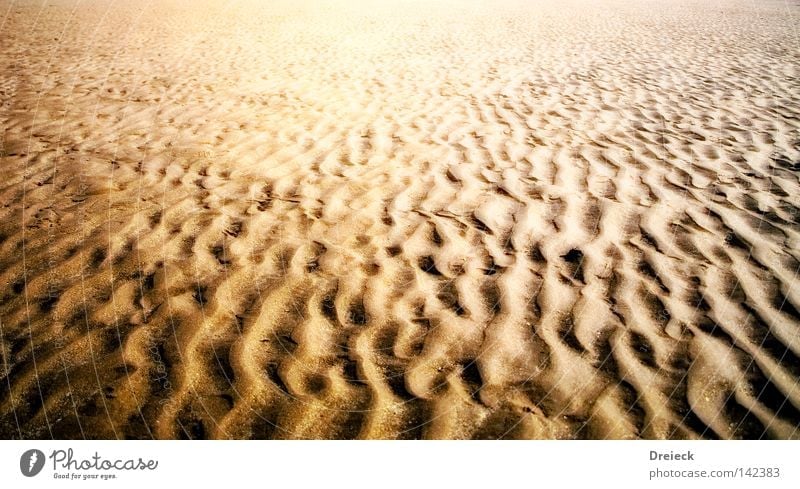 going home Sand Coast Water Ocean Sahara Desert Dry Tracks Footprint Arrangement Line Wiggly line Badlands Steam Shriveled Beach dune Earth Ground coastal