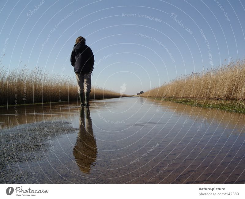 Street "Land-unter" Water Puddle Hiking Boots Common Reed Rømø North Sea Deluge Flood Woman below ground