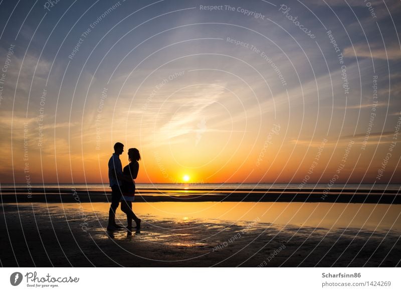 Silhouettes of couples in love on a romantic sunset coast. Lifestyle Joy Healthy Harmonious Relaxation Calm Leisure and hobbies Vacation & Travel Freedom Summer