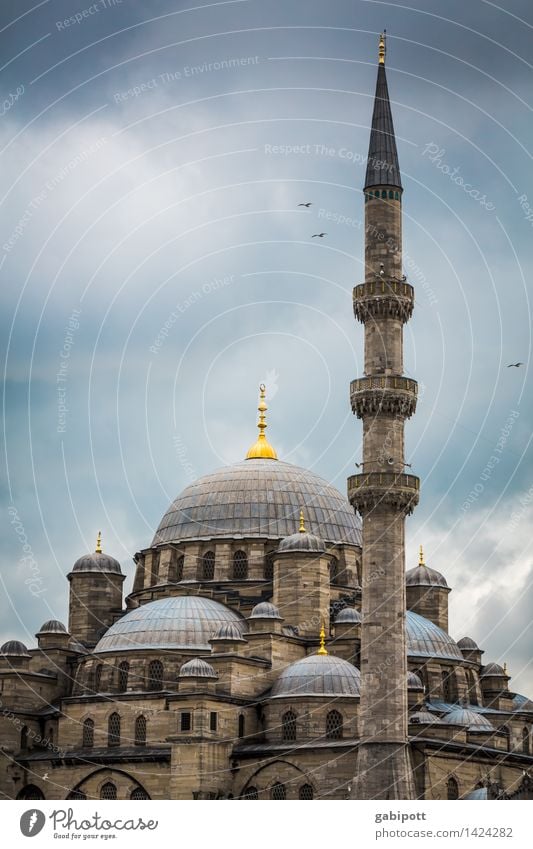 Believe and let believe Vacation & Travel Tourism Trip Far-off places Sightseeing City trip Mosque Blue Mosque Istanbul Turkey Tower Manmade structures Building