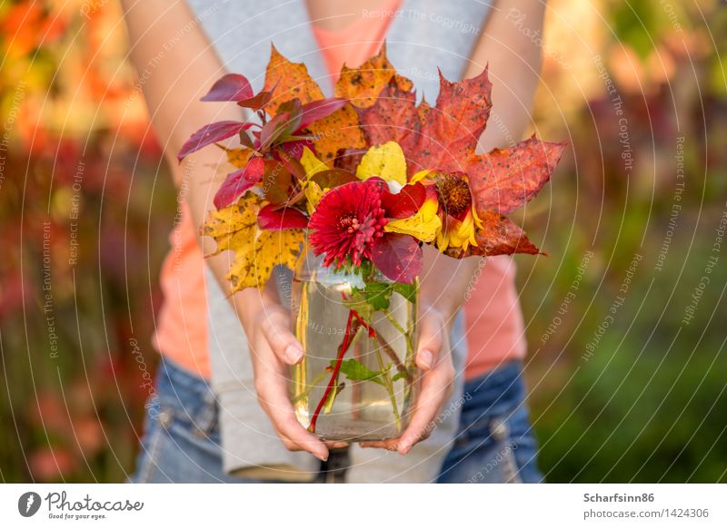 Girl with autumn bouquet. Lifestyle Relaxation Leisure and hobbies Tourism Freedom Garden Feminine Body Hand Blossoming Discover To hold on Walking Happy Bright