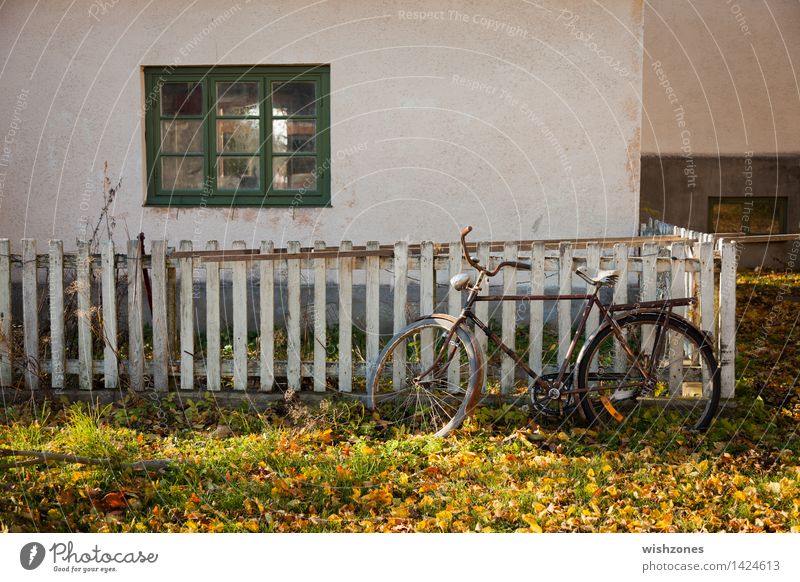 End of bicycle season Style Harmonious Relaxation Calm Cycling tour Bicycle Sunlight Autumn Beautiful weather Grass Europe Village Wall (barrier)