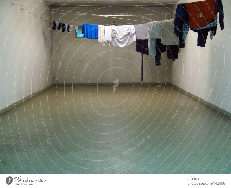 drying room Room Empty Clothing Sweater T-shirt Laundry Washing Laundered Dry Clean Cleaning Washing day Clothesline Underwear Vanishing point Quality Escape
