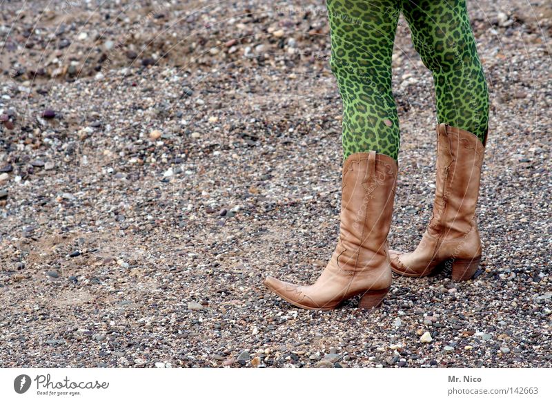 Puss in Boots Cowboy Brown Green Bilious green Pattern Tights Clothing Chic Style Funky Crazy Media hype Multicoloured Gray Stone Pebble Knock-kneed Old clothes