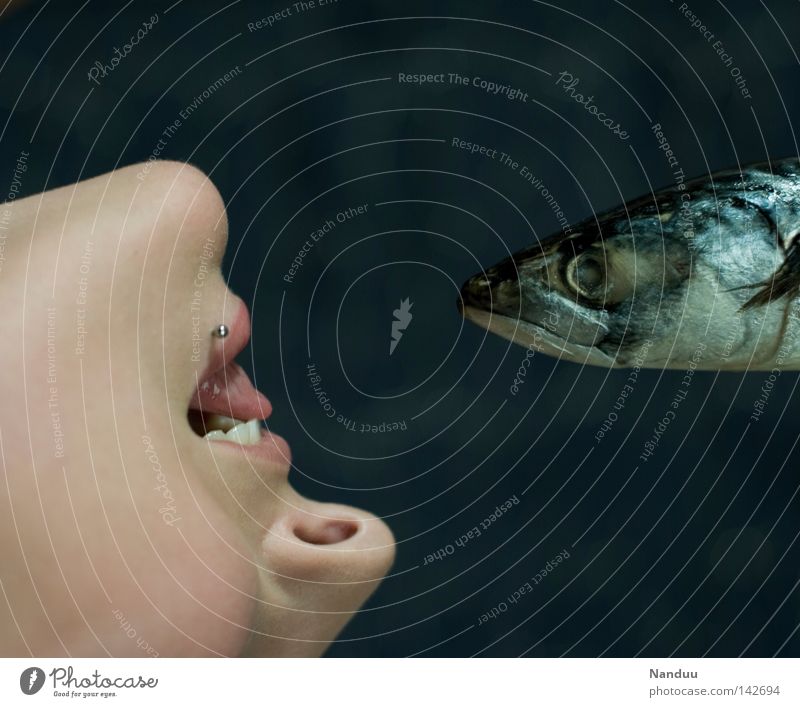 dialogues Fish Mackerel Woman Blue Water Chin Mouth Nutrition Lips Tongue Teeth To talk Animal Death Delicious Strange Bizarre Whimsical Meat Communicate